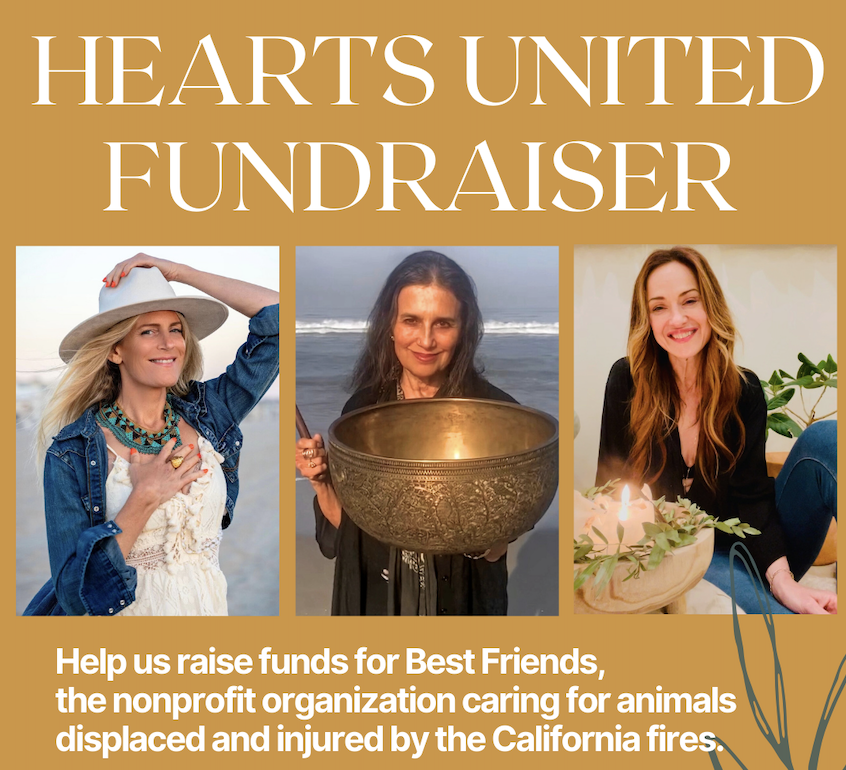 Hearts United Fundraiser - Wednesday February 26th - 7pm